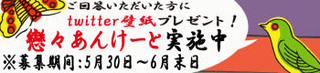 koikoi_questionnaire_main.jpg